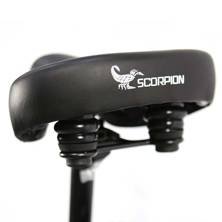 Folding Electric Bike